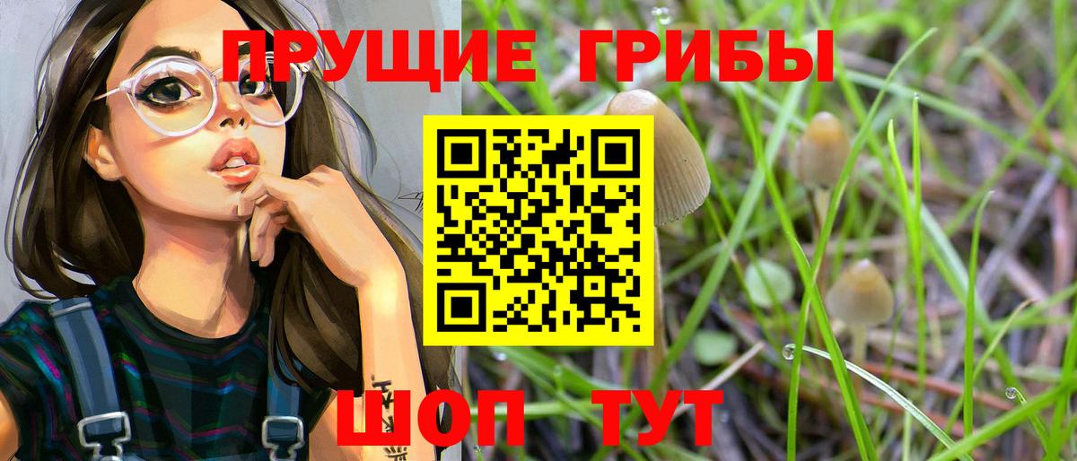 Псилоцибиновые грибы MAGIC MUSHROOMS Протвино