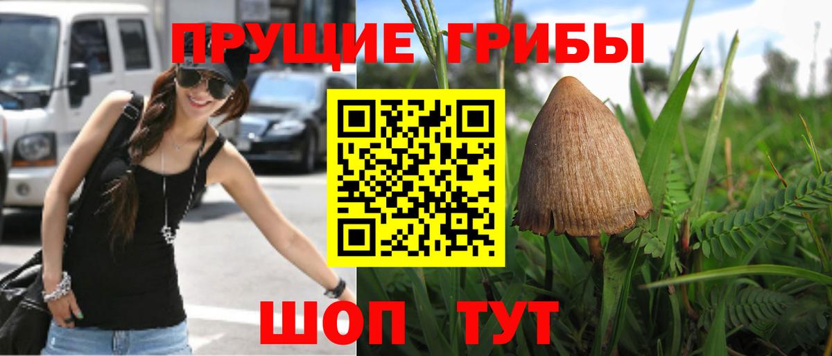 Протвино  Галлюциногенные грибы GOLDEN TEACHER  Вход с VPN 